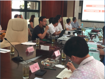 四川眉山田園岷東國際旅游度假區(qū)（康養(yǎng)溫泉小鎮(zhèn)）綜合開發(fā)項目策劃及概念性規(guī)劃