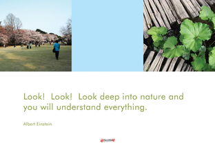 SketchUp在旅游度假項目建筑設計中的核心價值與應用實踐