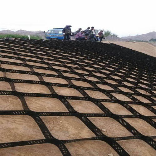 福建廈門土工格室與土工網(wǎng)墊廠家 現(xiàn)貨供應，高效發(fā)貨，助力工程建設