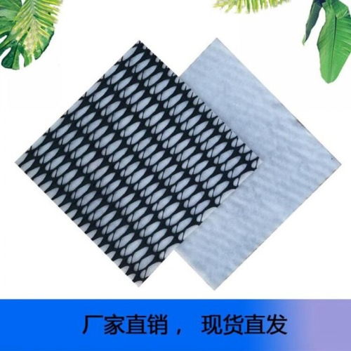 植草護坡塑料廠家供應三維復合土工排水網(wǎng)墊植草網(wǎng)復合排水網(wǎng)解析與應用